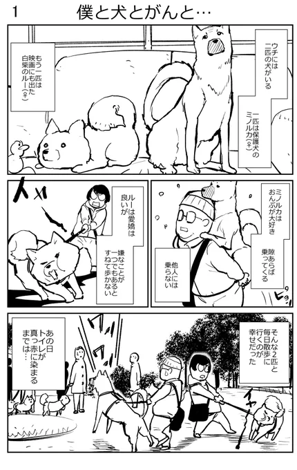 「僕と犬とがんと…」(1/4)
全部実話です。 #玉越博幸 