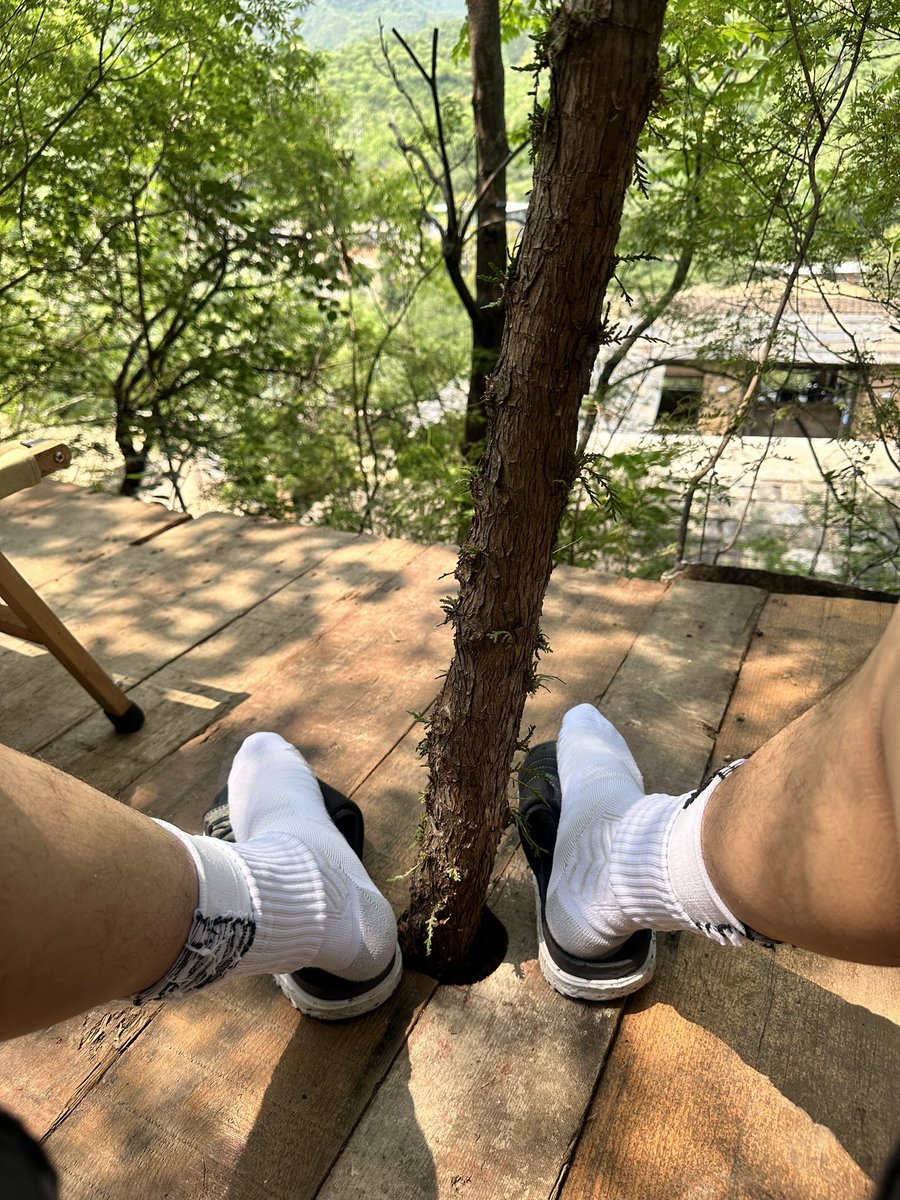 足球袜._.艺术家 tweet media