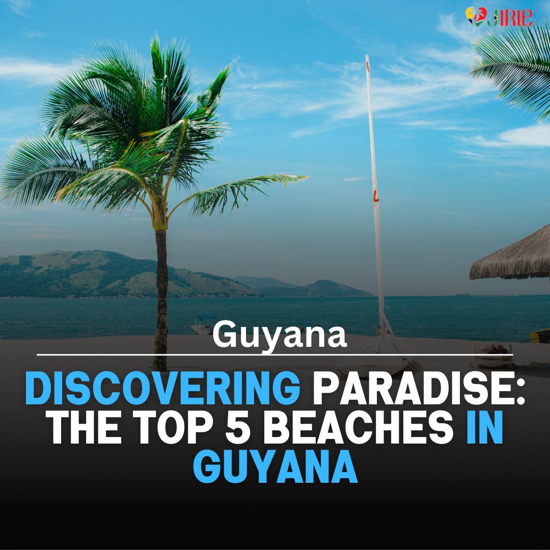 Caribbean Focus Lifestyle tweet media