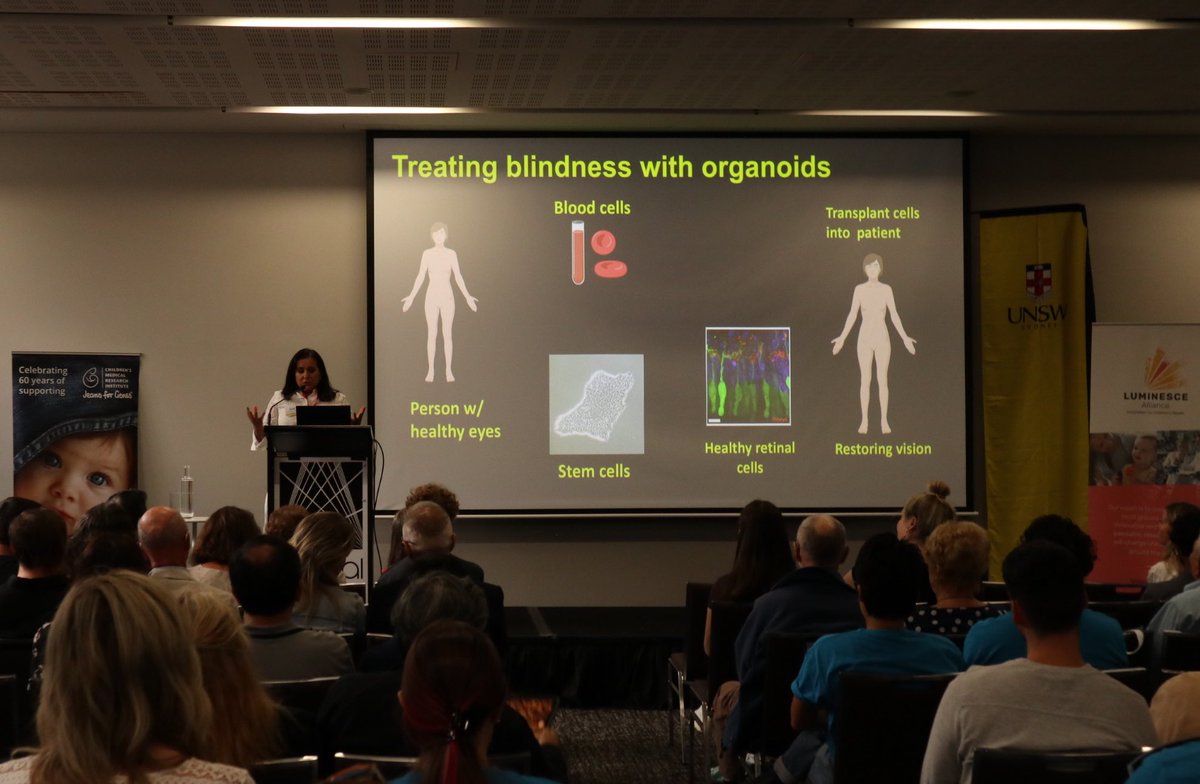 Did you know we can model the retina in a dish? A/Prof Anai Gonzaez-Cordero uses stem cells and organoids to identify novel treatments for #InheritedRetinalDisease <a href="/CMRI_AUS/">CMRI</a>
@SCOF_SCM #IRDPatientDay