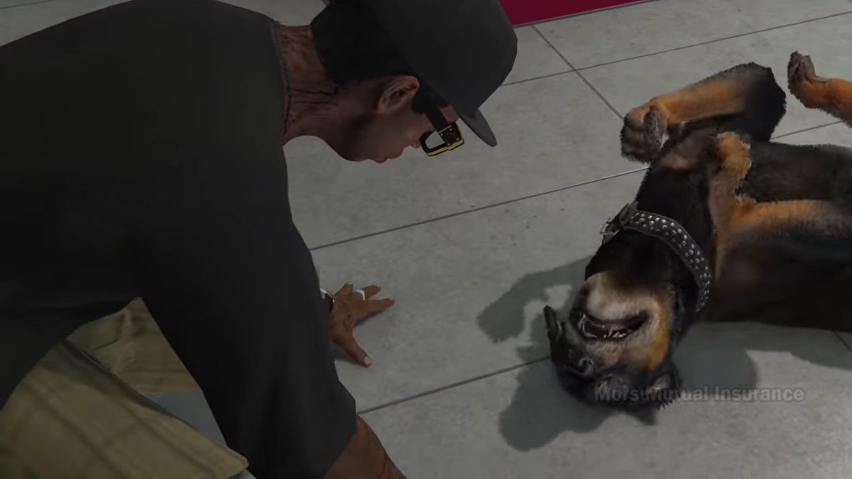 LalaShoobi4883's tweet photo. @kirawontmiss "Man, that dog high af" https://t.co/KN8gH0IlUV