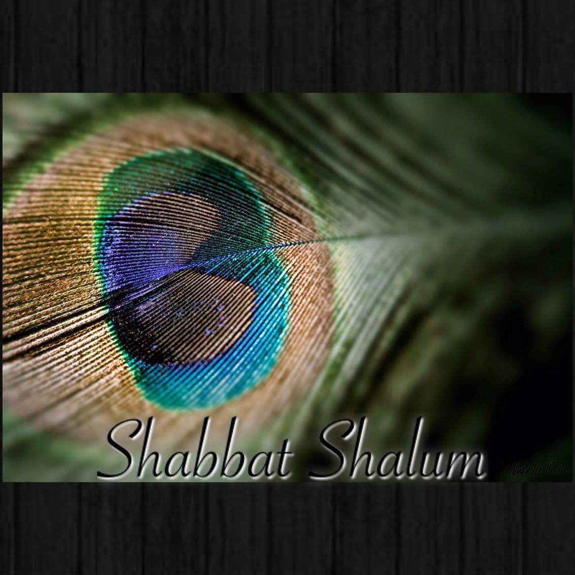 Shabbat blessings to the 12 Tribes scattered and to those who take hold of the skirt of the Yahudym to seek YAHUAH in that day.  I pray that your Sabbath rest is complete and may it restore and refresh you.  Shabbat Shalum!  🫂👑💐
