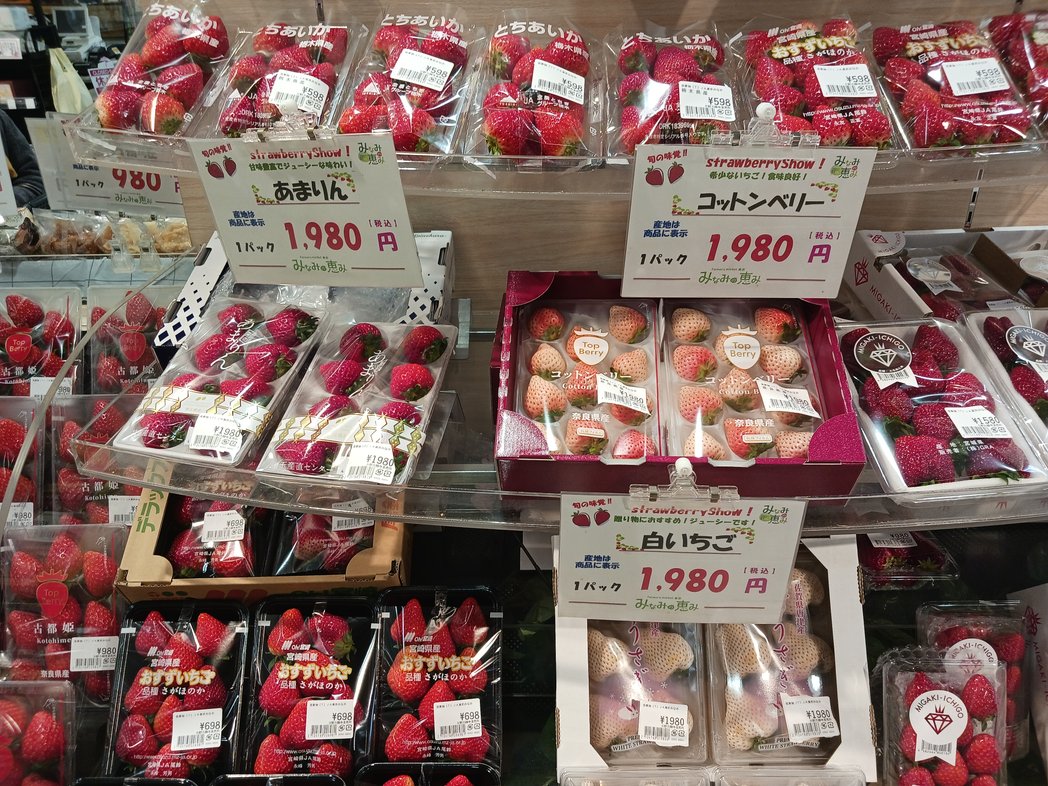 373nomegumi's tweet photo. おはようございます😀
今日は朝からみぞれが降ってビックリしましたぁ❄️
今���のみなみの恵みは、
『✨旬の逸品フェア✨』
今が旬の新鮮野菜や果物を揃えて、みなさまのお越しをお待ちしております😊
#地場産野菜
#地場産果物
#あまりん
#コットンベリー https://t.co/wGjXI4BbZm