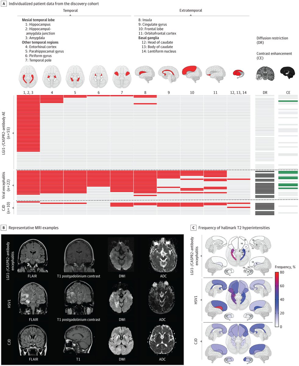 DrMansillaNeurologo tweet media