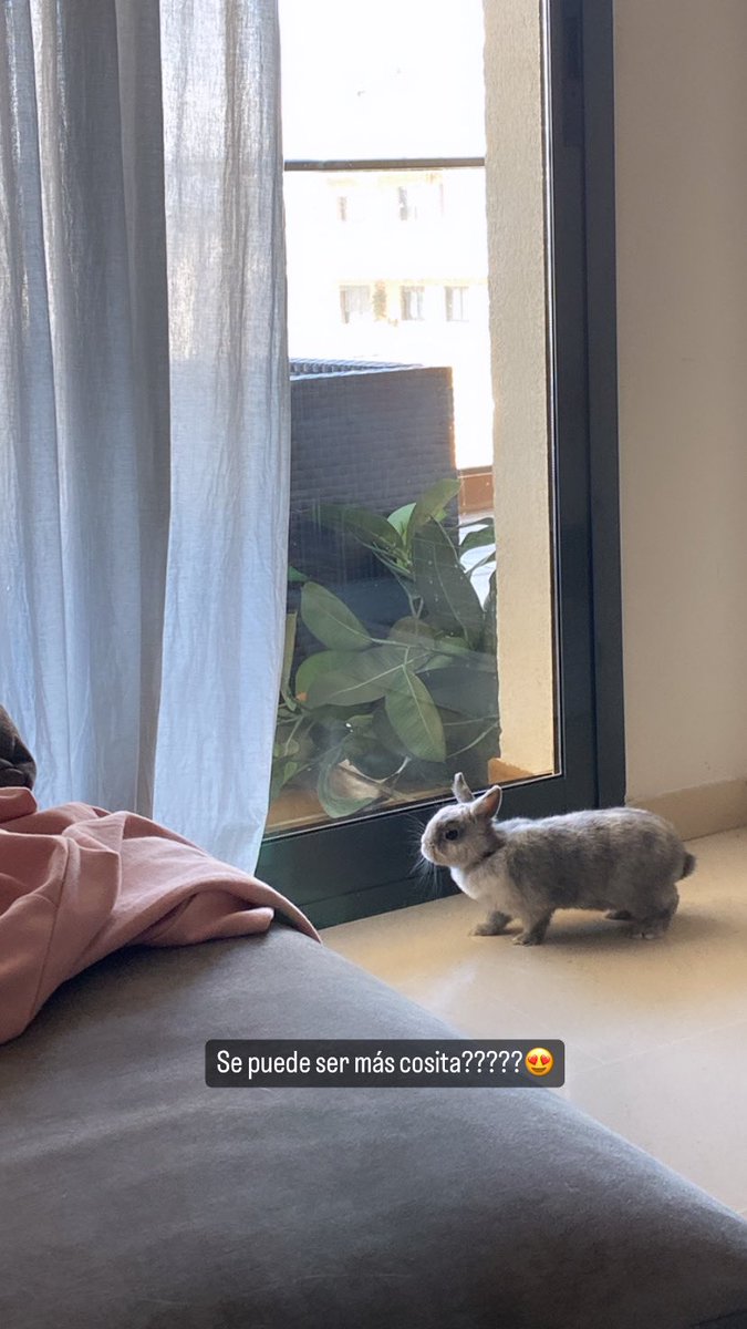 Magdalena 🧁 tweet media