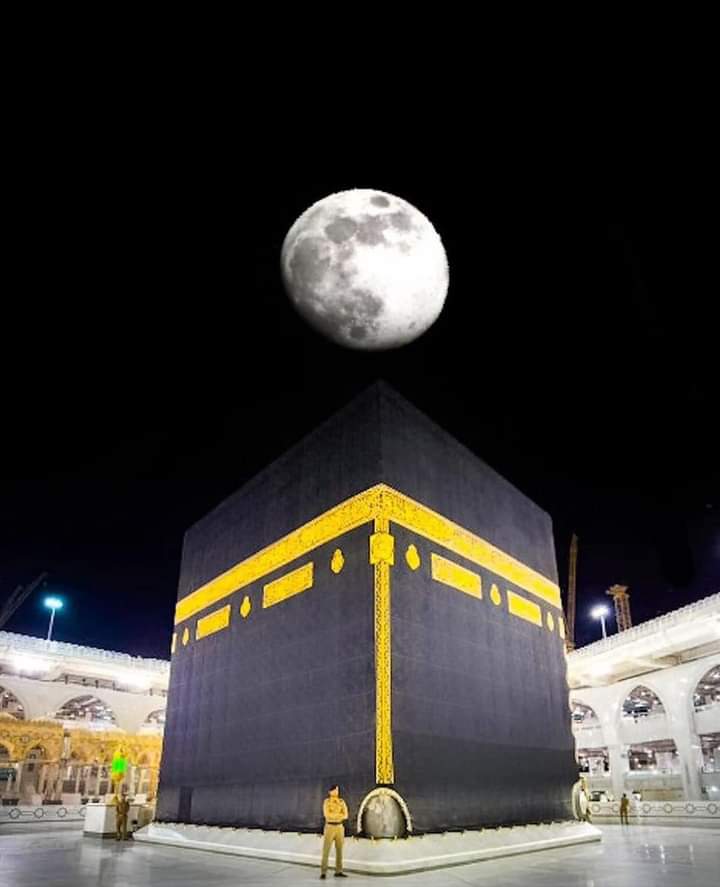 Shan Ahmed🇵🇰 tweet media