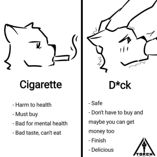 Flavio31159160's tweet image. 