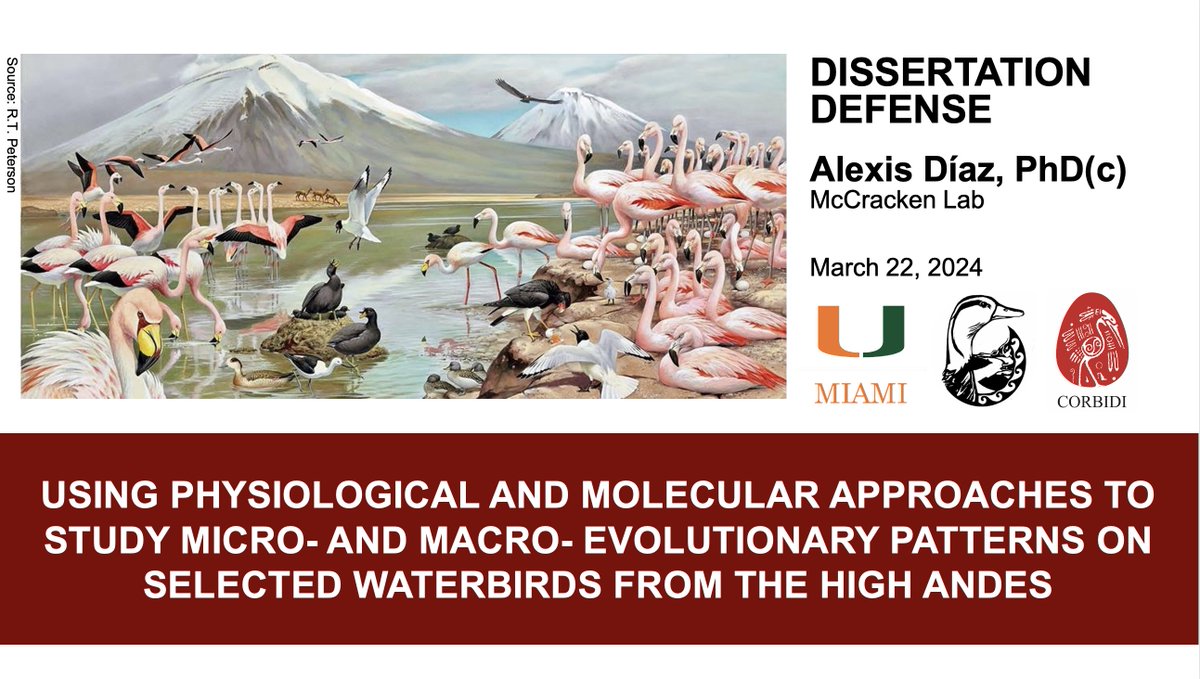 Today, March 22nd, I successfully defended my thesis and earned my PhD in Ecology and Evolutionary Biology!!! Thank you to everyone who supported me on this journey! I’m finally PhDone!! #GoCanes #UniversityofMiami #DuckDNALab #Waterbirds