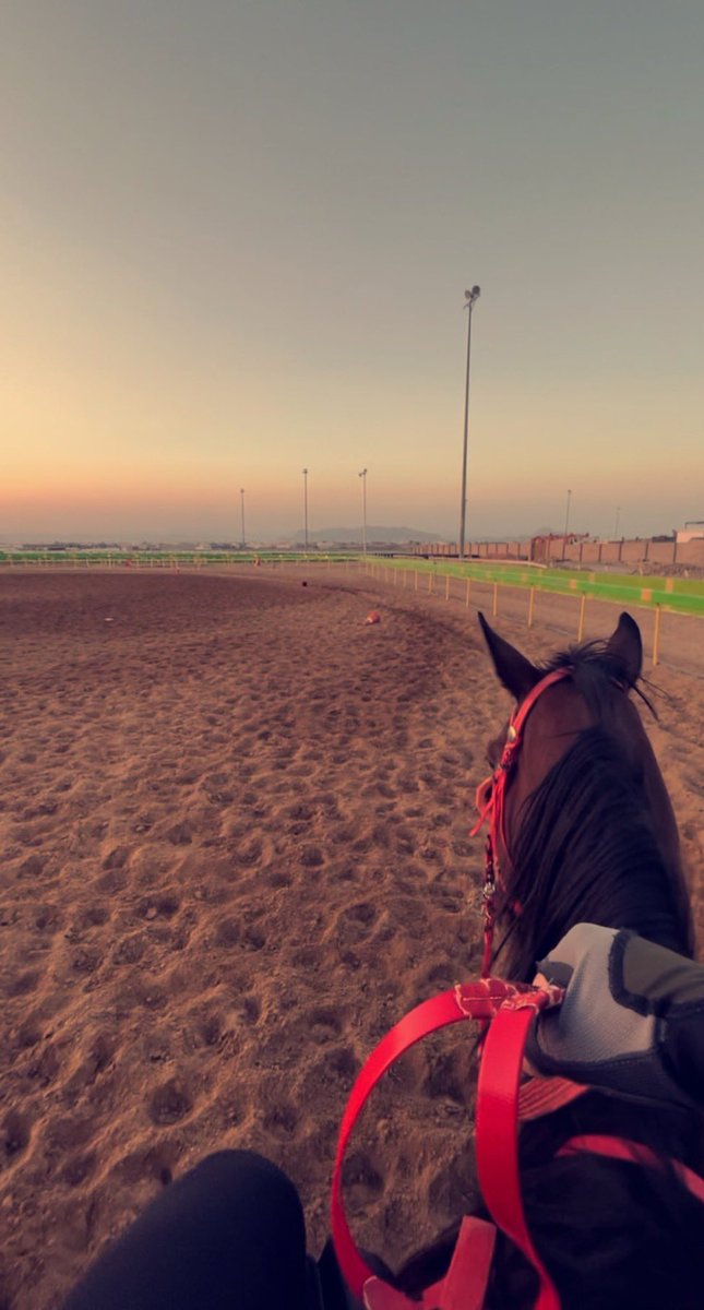 _xeui's tweet image. 