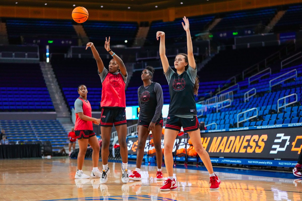 UNLV Lady Rebels tweet media