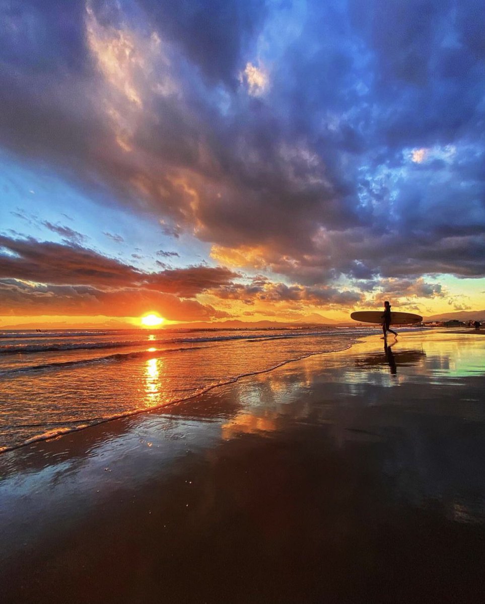 Aesthetics (@aestheticspost_) on Twitter photo 