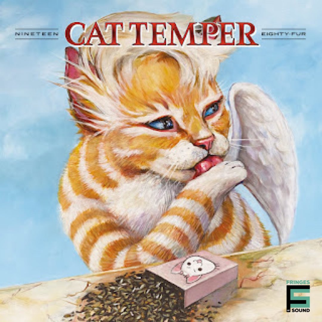 In our newest review, we’re looking at the latest album from @cattempermeow onthefringesofsound.com/2024/03/cat-te… #synthwave #electronic #darksynth #nostalgia #retrowave #synthpop #bandcamp #musicreview