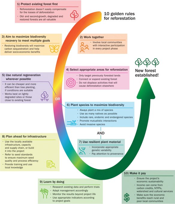 🌳 Restoring forestland optimally isn’t as easy as it might seem. A global team of researchers offer 🔟 golden rules to help practitioners avoid many of the problems of large-scale tree-planting initiatives. 👉: bit.ly/3ZZCZ3a Via @CIFOR_ICRAF