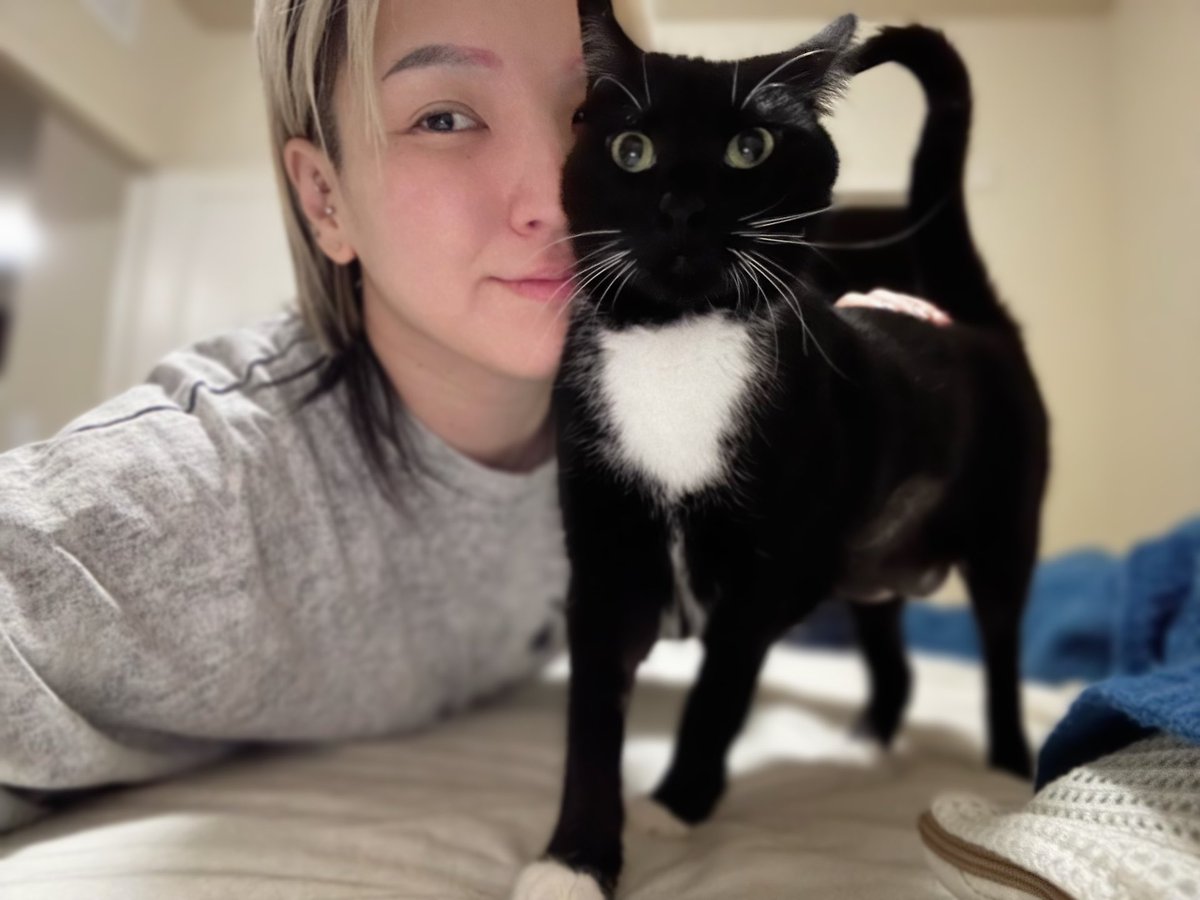 shidahikaru's tweet photo. I’m home 🐈‍⬛🩷🐈‍⬛ https://t.co/4vELVJA6BL