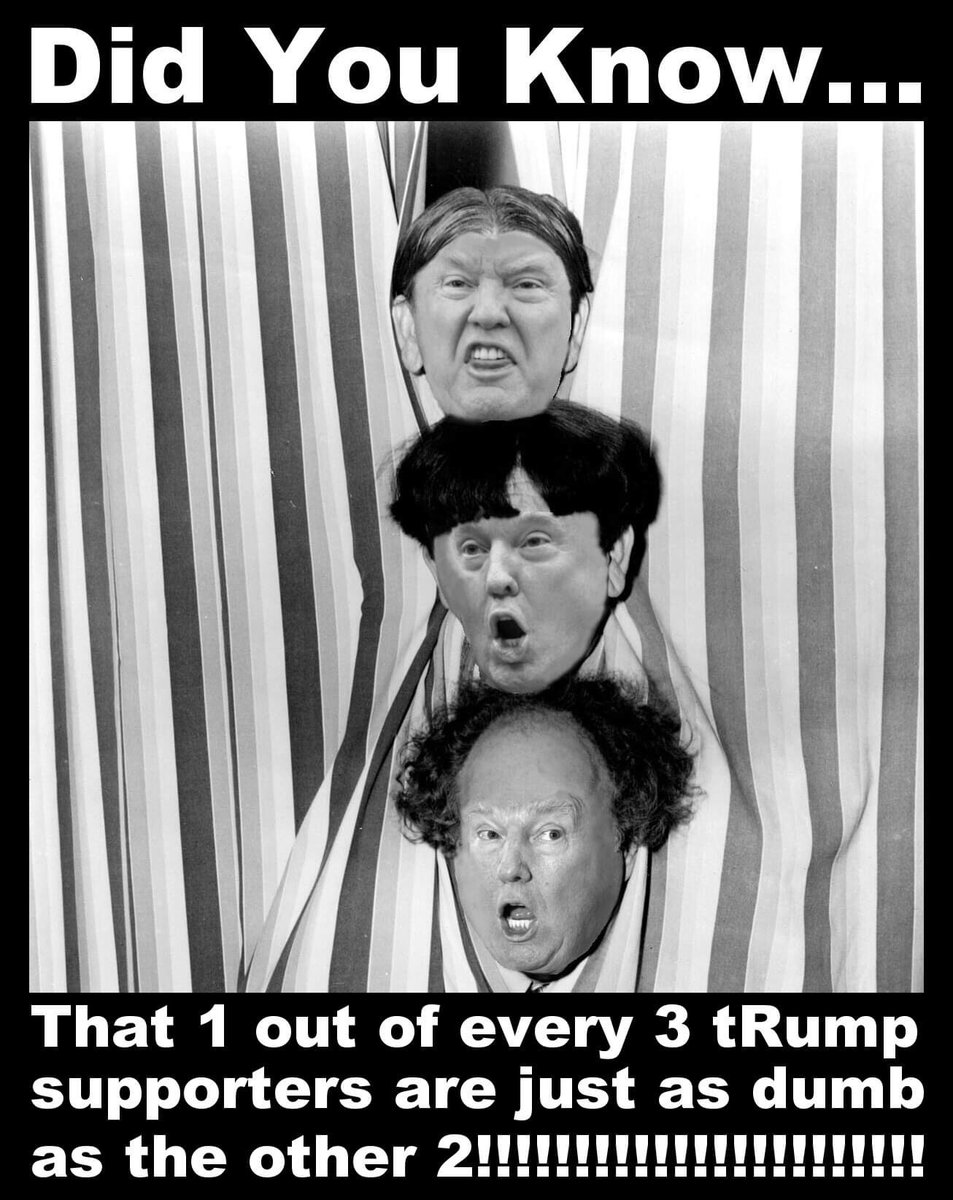 RWhiteFang's tweet photo. @MaryLTrump Something odd about all of this… https://t.co/7zAcZ4A1mO