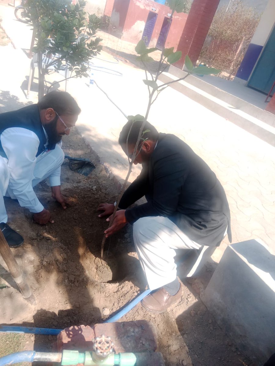 aeonankanacity1's tweet photo. #InternationalForestDay 
#PlantForPakistan campaign in different schools of the Markaz. An initiative of @GovtOfPunjab for better future.
Some more clicks.
@SchoolEduPunjab https://t.co/ZoUzrRkOdk