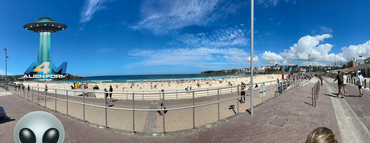 Mr_T_DefiChad's tweet photo. @alien_4m invasion at Bondi beach in Sydney, Australia spotted today!!! https://t.co/9CwokADAYF