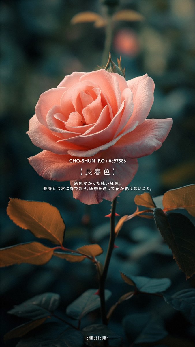 zangetsuka's tweet image. 美しい日本の色 -桃色-

Beautiful Japanese pink
#Japanesecolor #beautifulcolor #pink