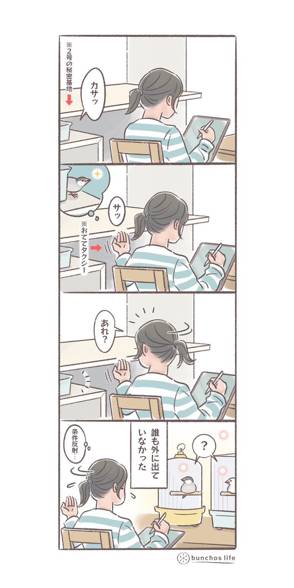 2号の秘密基地から音がすると条件反射でおててタクシーを出してしまう
#文鳥 
#4コマ漫画 