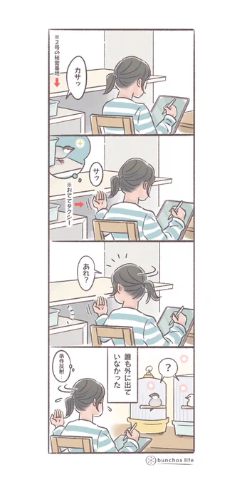 2号の秘密基地から音がすると条件反射でおててタクシーを出してしまう
#文鳥 
#4コマ漫画 