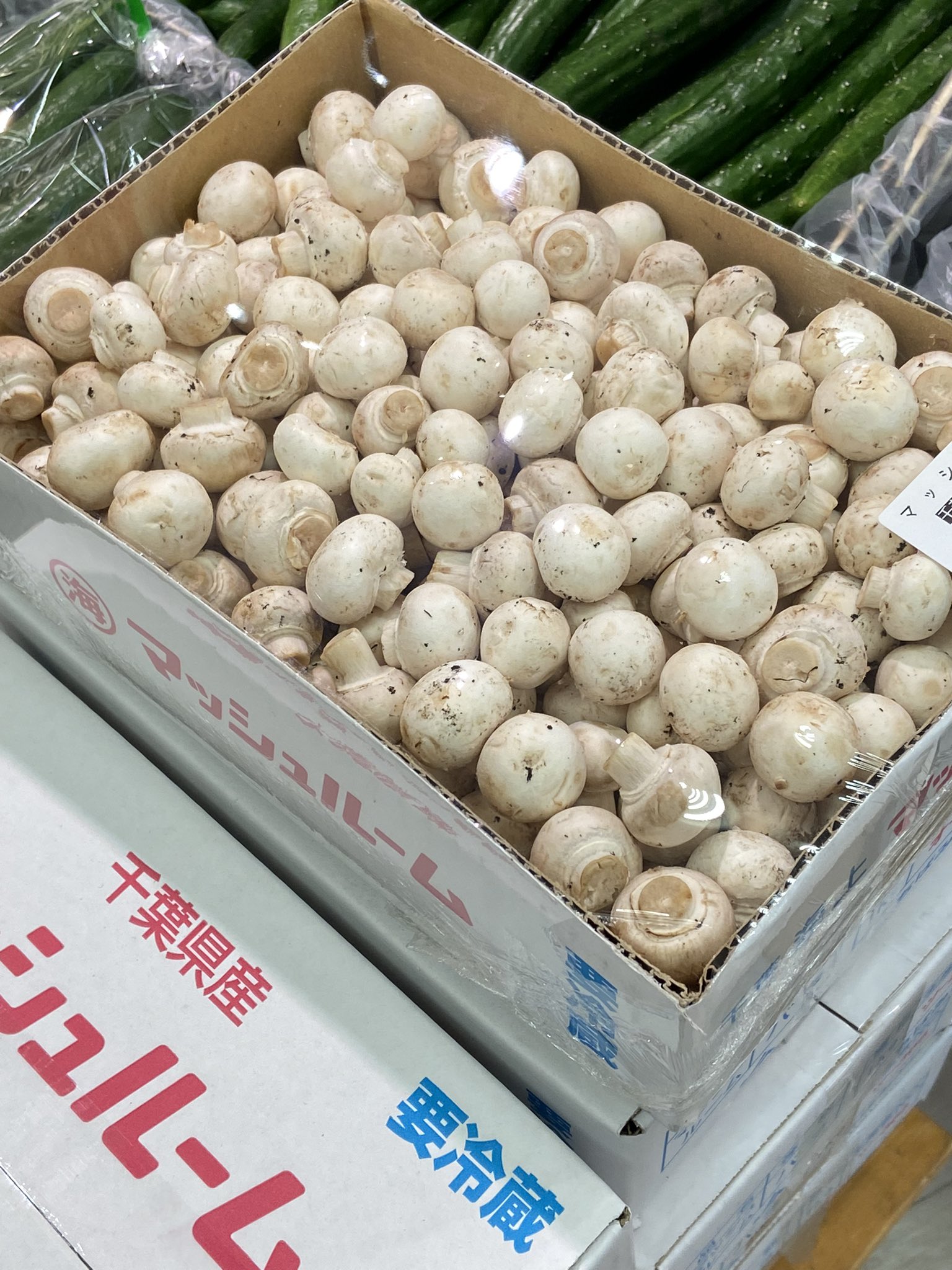 吉池 on X: 