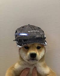 supermetalx's tweet image. $swag wif $cap