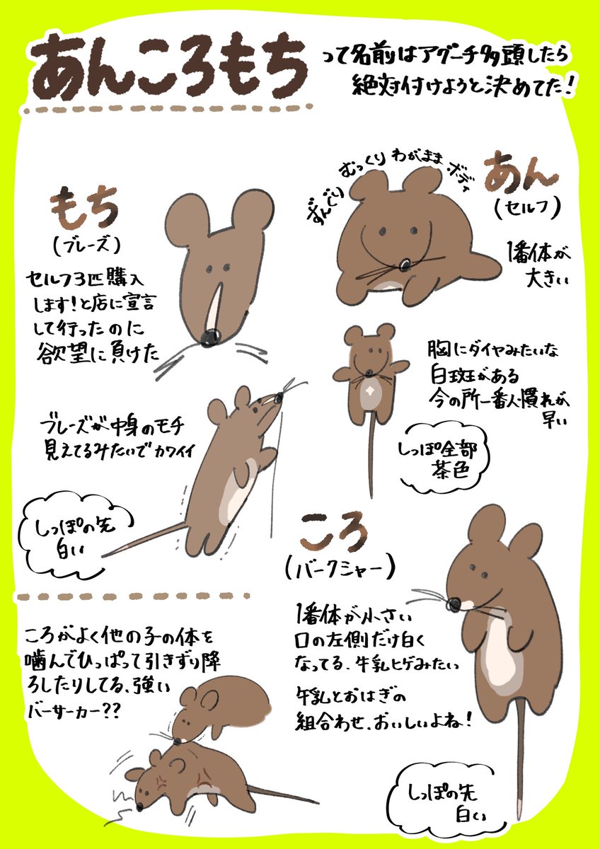 あけび (@akebi_rat) / Posts / X