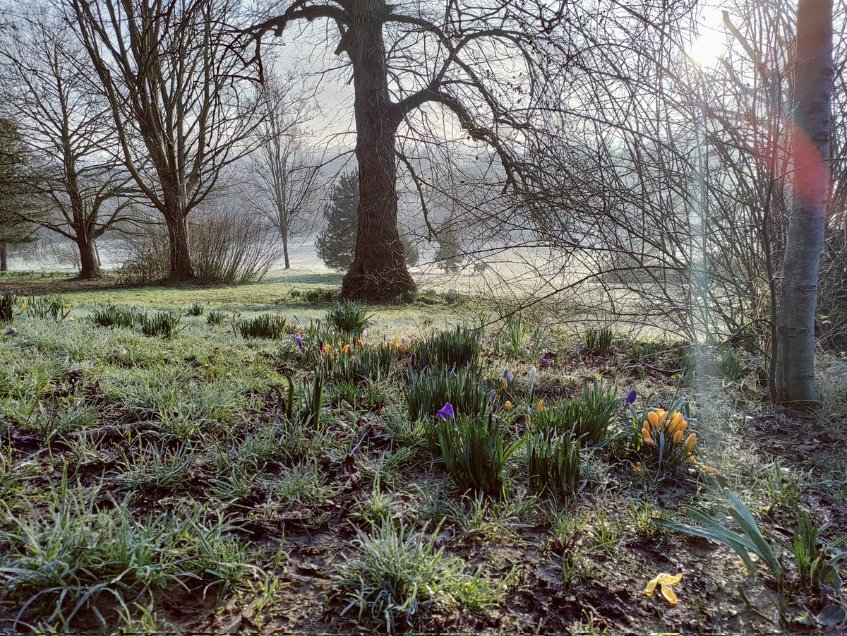 Darley Park in the early morning mist @DerbyCityLab #darleypark @VisitDerby @VisitEngland #nature #sunrise #spring @DerbyUni