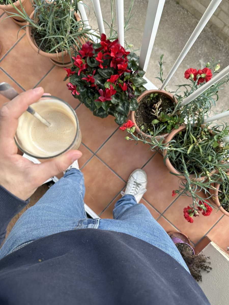 adrialorca's tweet photo. Qué bueno es despertarse un sábado temprano y tomar café mientras escuchas los pájaros cantar 🎶✨ https://t.co/QP51olsfeZ