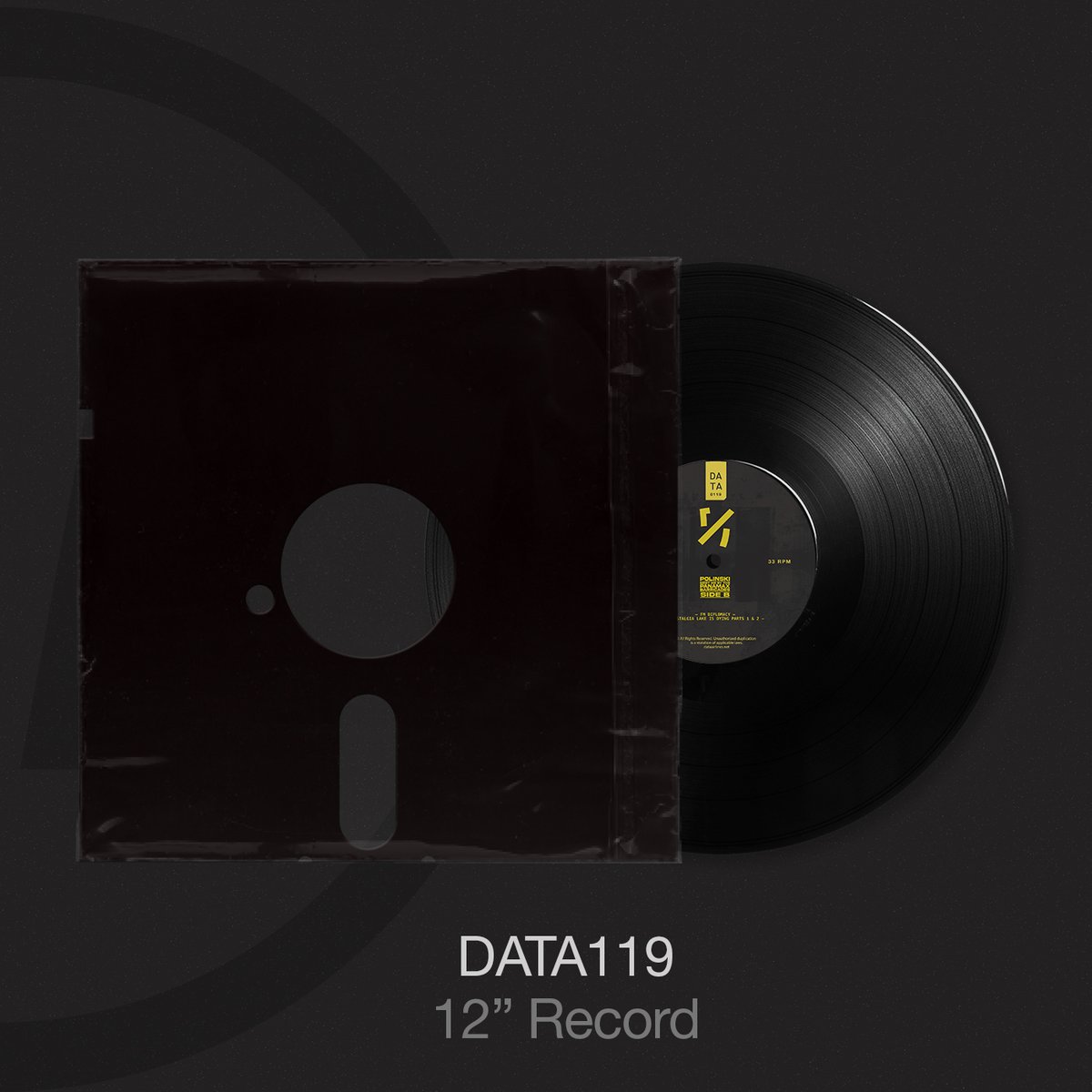 New Release Announcement: DATA119: @polinski - Meet Me By The Panamax Barricades. Friday 5th April. More info: knru.polin.ski/meet-me-by-the…