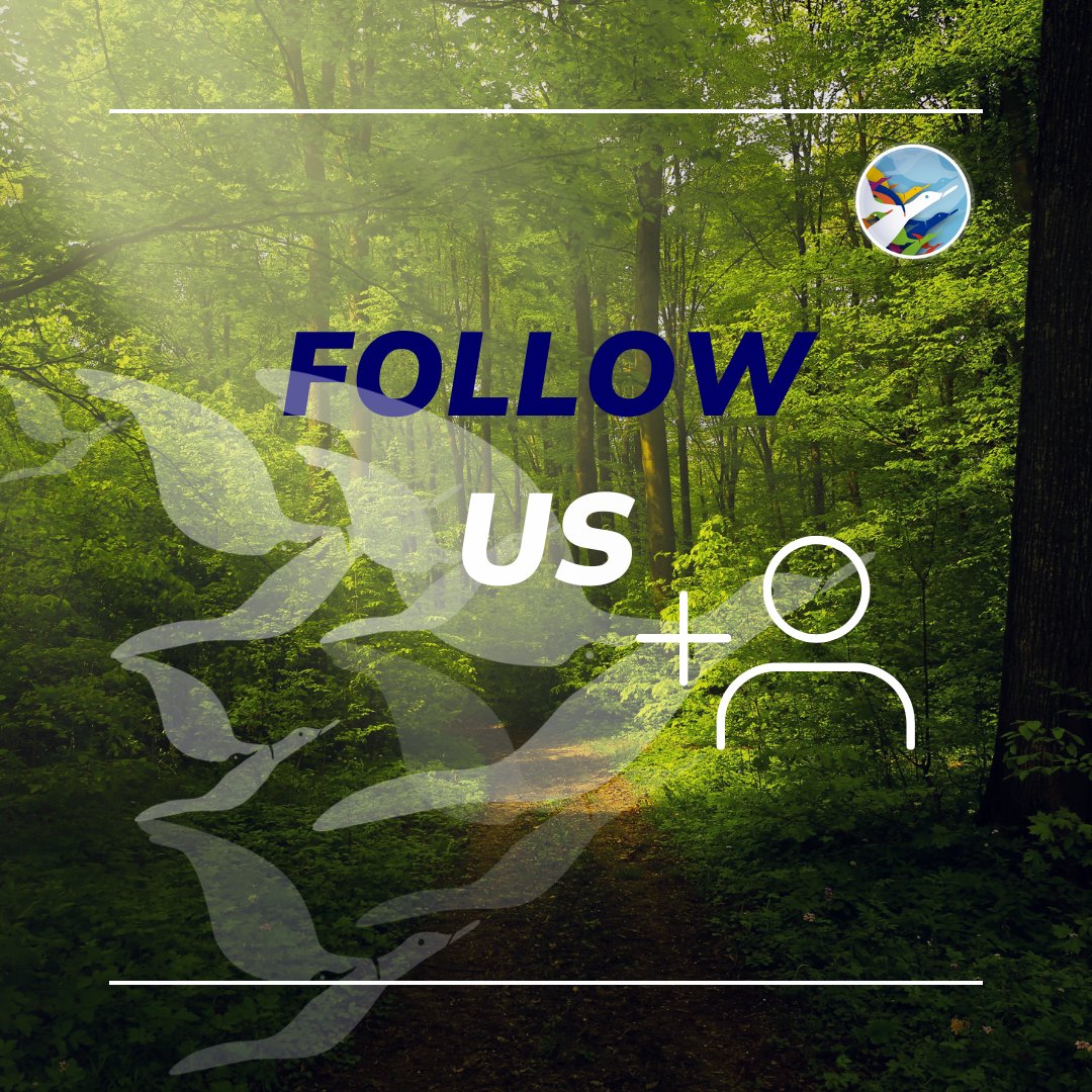 If you don't follow us yet, but like our work and are interested to hear more about sustainable education courses as well as our EU projects, give us a follow! 👍🏽
 
.

.

.

.

.
#follow #change #act #GaiaEducation #ecological #future #geese #economic #social #worldview