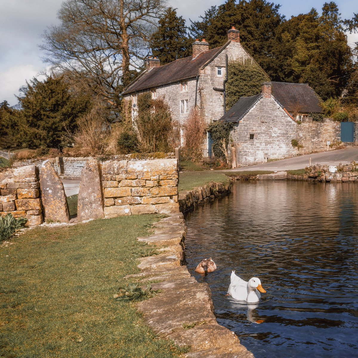 Meanwhile, in the #peakdistrict, fall into a little time slip with me, where peaceful lanes are yours for the wandering, and ducks still splash on village duckponds.