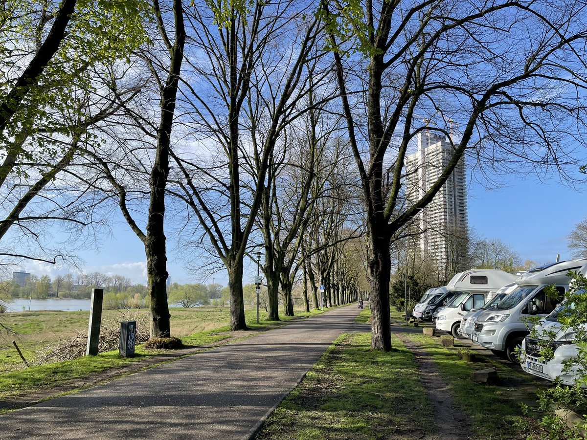 Köln bei Sonnenschein. Auf geht es zur Shopware Unconference. #scuc #scuc24 #shopware
