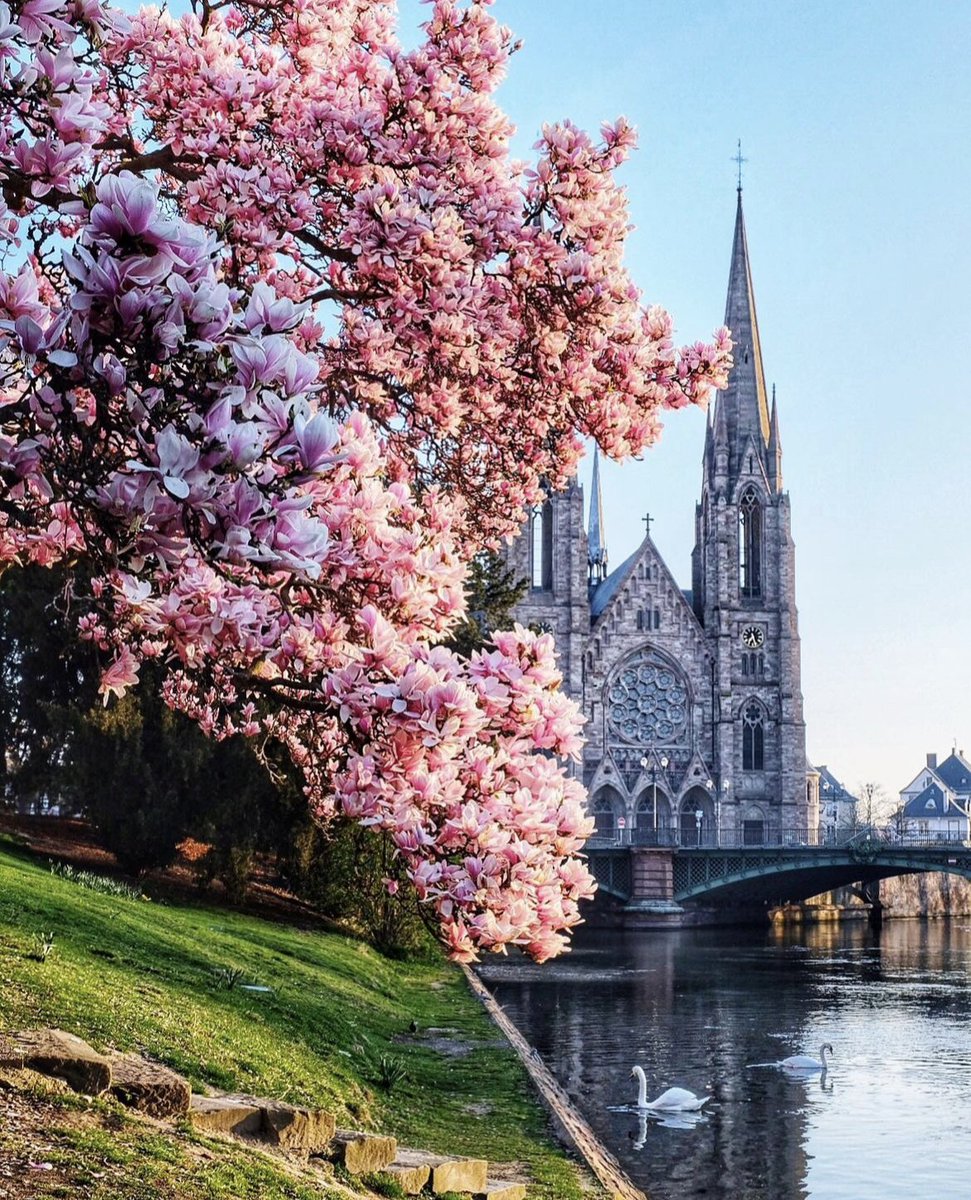 Have a pleasant weekend☀️🌷 St. Paul's Church, Strasbourg, Alsace, France 📸: @snejie #France🇫🇷 #Strasbourg #Alsace #cathedral #architecture #church #paulskirche #Lutheran #History #traveling #churchphotography #architecturephotography #travelphotography