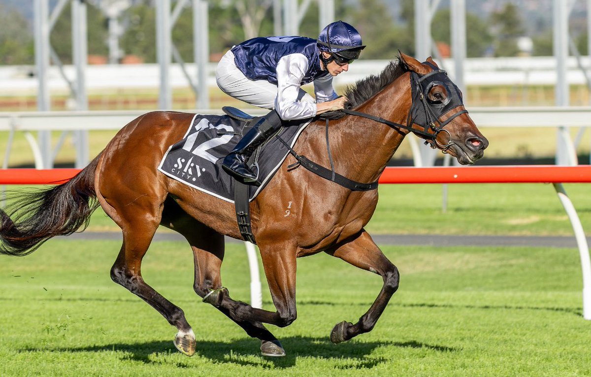 First Metro Winner as a trainer 🏆