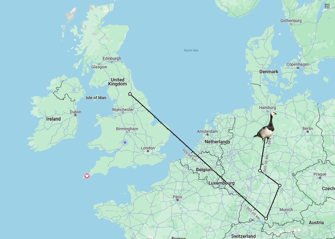 Our wandering Barnacle Geese (originally ringed in North Yorkshire) are touring Germany! First seen close to the Austrian border in January, they are now in Lower Saxony. Heading home? 🤗