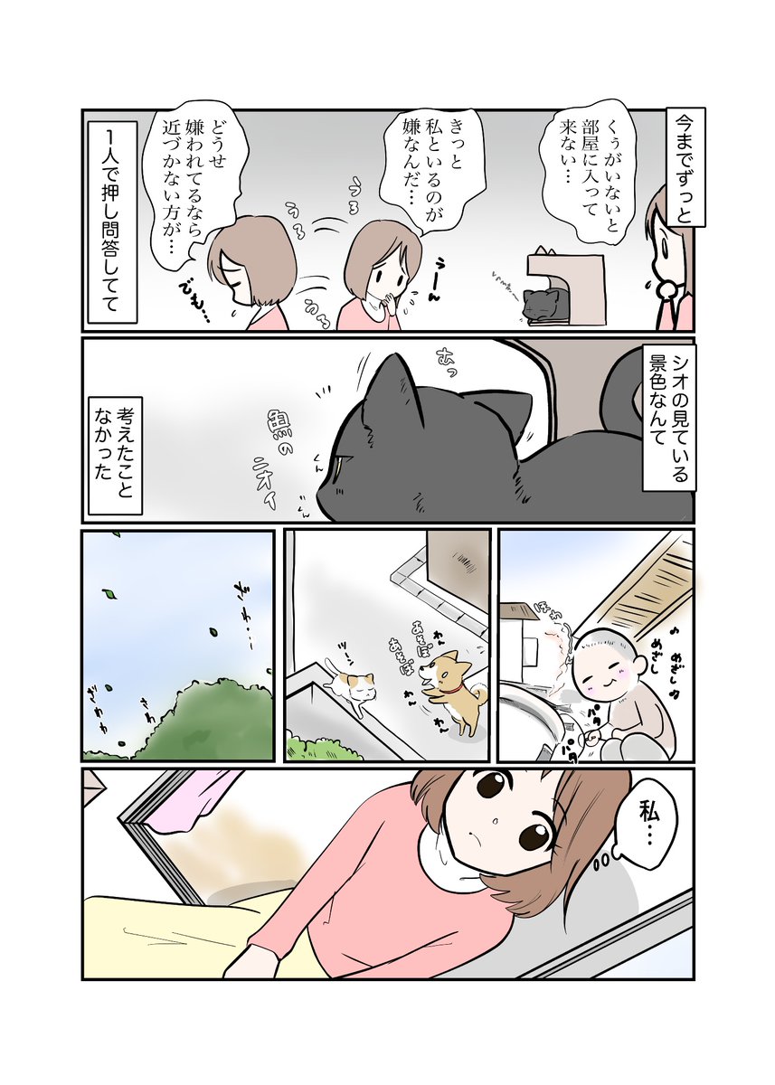 #スパダリにゃんこ
#くぅの日常 第223話
見えてる景色

ハイスペックなスーパーダーリン、スパダリ猫を目指すくぅと、飼い主しずくの日常マンガ。

今まで同様くぅを訪ねて来たシオ。部屋に上がらず外で待つシオを見るしずくだが、その気持ちは変わり始めていて…。

#猫マンガ 