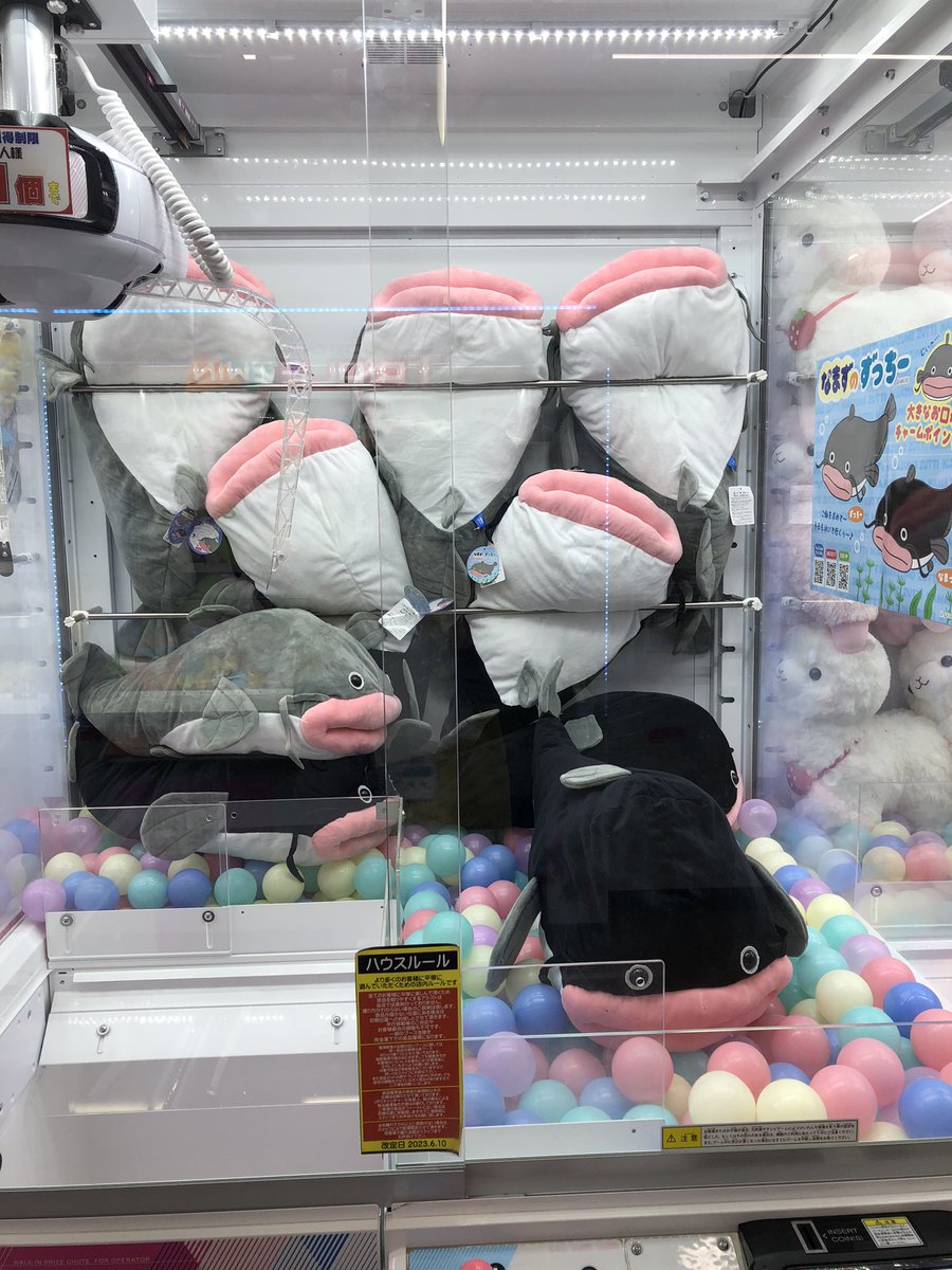 なまずのずっちーを入荷しました！ 大きなお口がチャームポイント