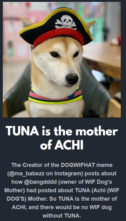 Lol new tokens are being launched that are made up relatives of dogwifhat $wif because they see $bag. Check for yourself @ ma_babezz

There is dogwifthat
and catwifbag

the hat stays on
the bag stays on

That is it