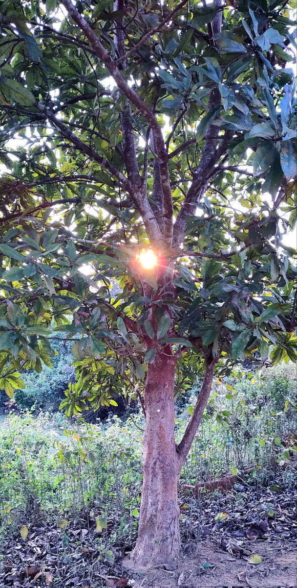 🌿Rear View🌿 tweet media