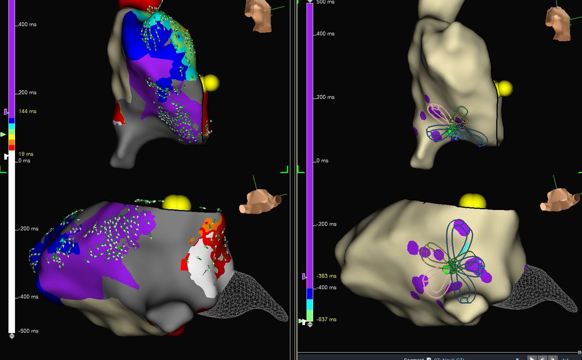Nicholas Palmeri tweet media