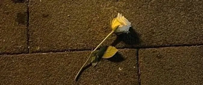 Esha_o_o's tweet image. • This dunya ( world) is a beautiful illusion full of lies, don&apos;t drown in it.