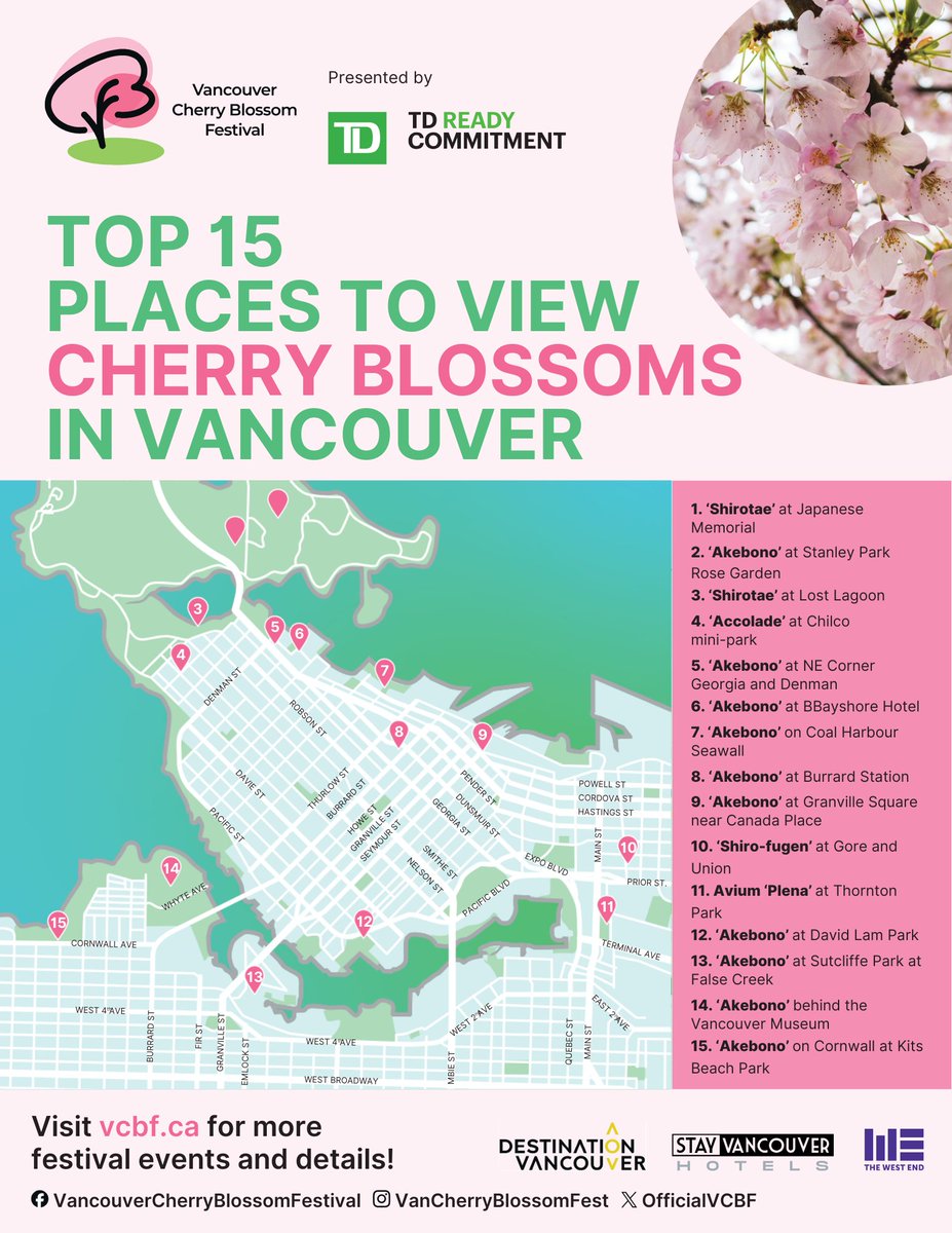 Spring has sprung, and #Vancouver is bursting with vibrant colours of #cherryblossoms! We're thrilled to share some of our favourite blossom spots with you this year. Dive into our Blossom Maps and uncover the full beauty of cherry blossoms around you:: finder.vcbf.ca
