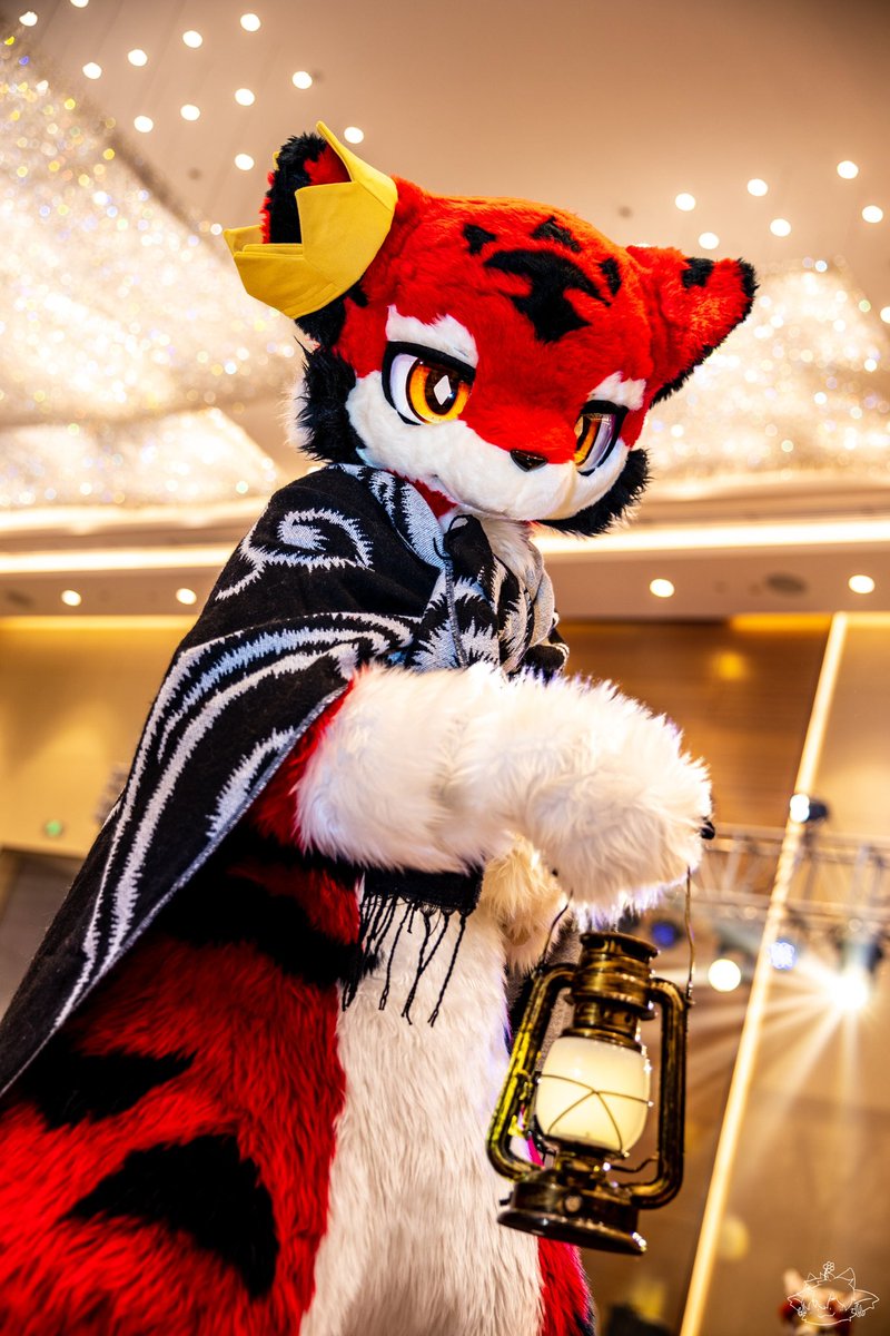 #FursuitFriday

“迷途的勇士…愿灯火庇佑着你..”

🫓：<a href="/sony8k120/">RuGin⚡</a> 
📷：<a href="/iambicdf/">阿年菌</a>