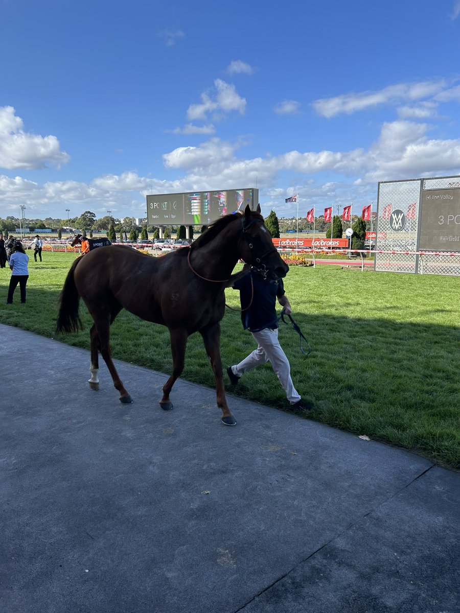 How about the run from Johnny Rocker!? 🔥