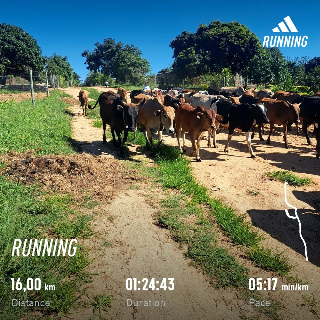 Erickmabunda's tweet photo. I honestly enjoyed this run...it really helps coming from a hood where we have so many runners πββοΈ it's honestly motivating to see other runners on the Road....
#RunningWithSoleAC
#RunningWithTumiSole
#WeekendLongRun
#FetchYourBody2024
#Ichoose2BActive
#RunningIsFun https://t.co/WfOYrkR0eY