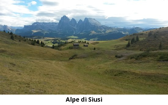 #alpedisiusi #dolomiti