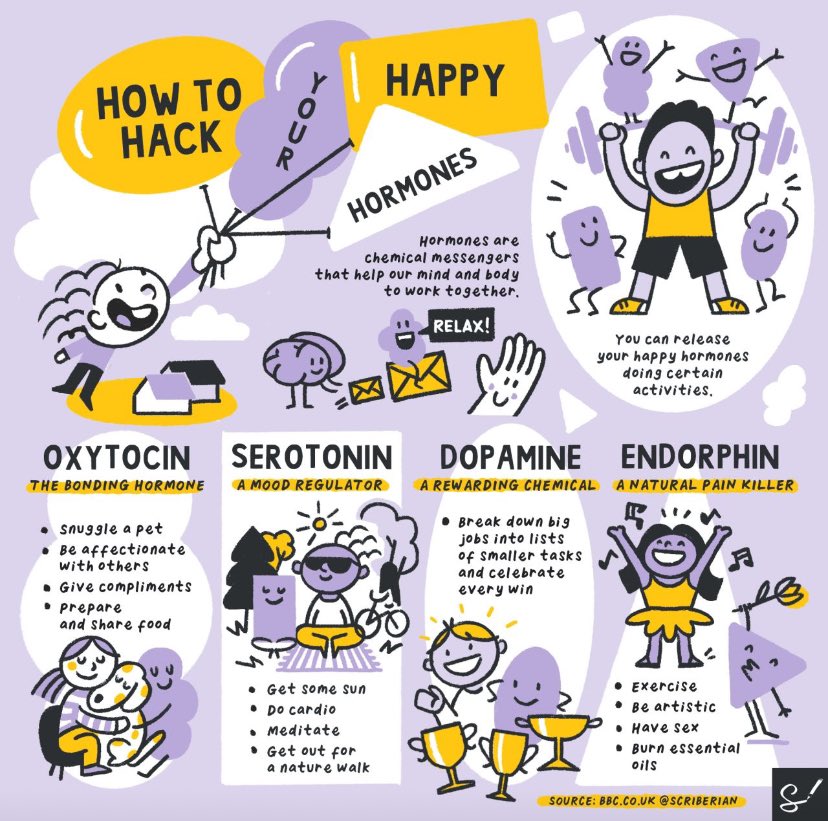 What better way to start your weekend than learning how to hack your happy hormones? Thanks to @scriberian #SaturdayMotivation ✅