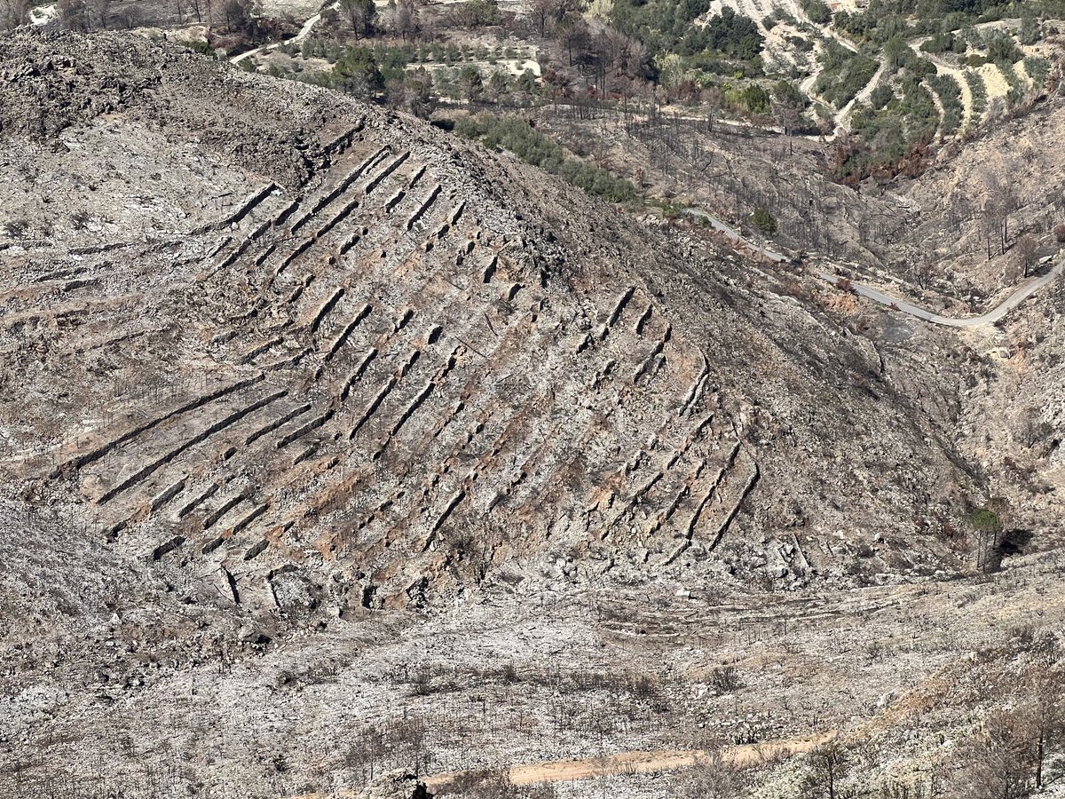 Forest fire in Terrateig. Old abandoned terraces are shown as a key feature in Mediterranean landscapes