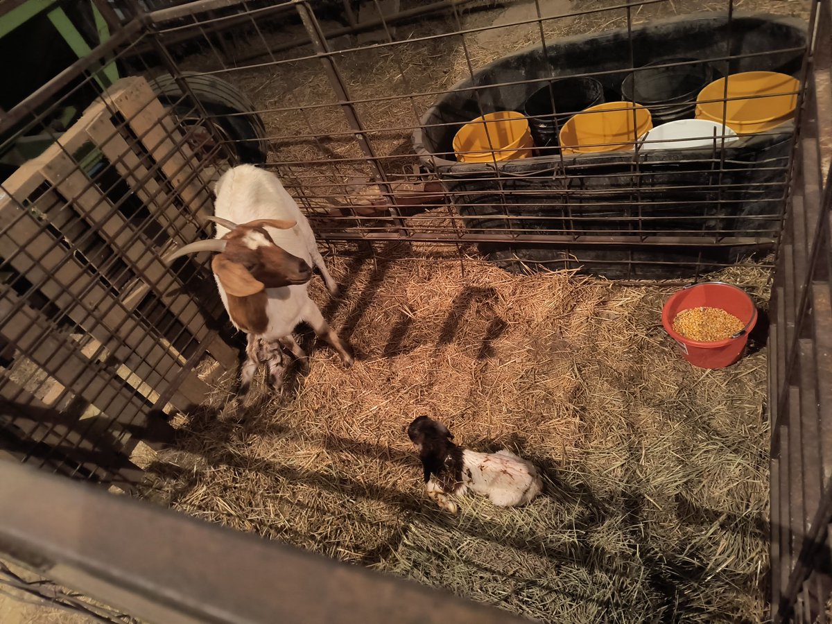 Amanda Taylor tweet media